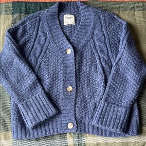 Abercrombie & Fitch Blue Cable Seed Stitch Cardigan